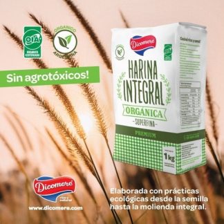 Campos Verdes Harina Integral Superfina Organica Kg Dicomere